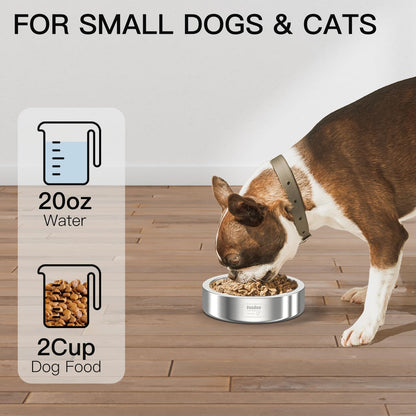 20oz Stainless Steel Cat Food & Water Bowl - Double Walled 304 Stainless Steel Non-Slip Cat Dish | BPA-Free & Dishwasher Safe for Indoor Cats