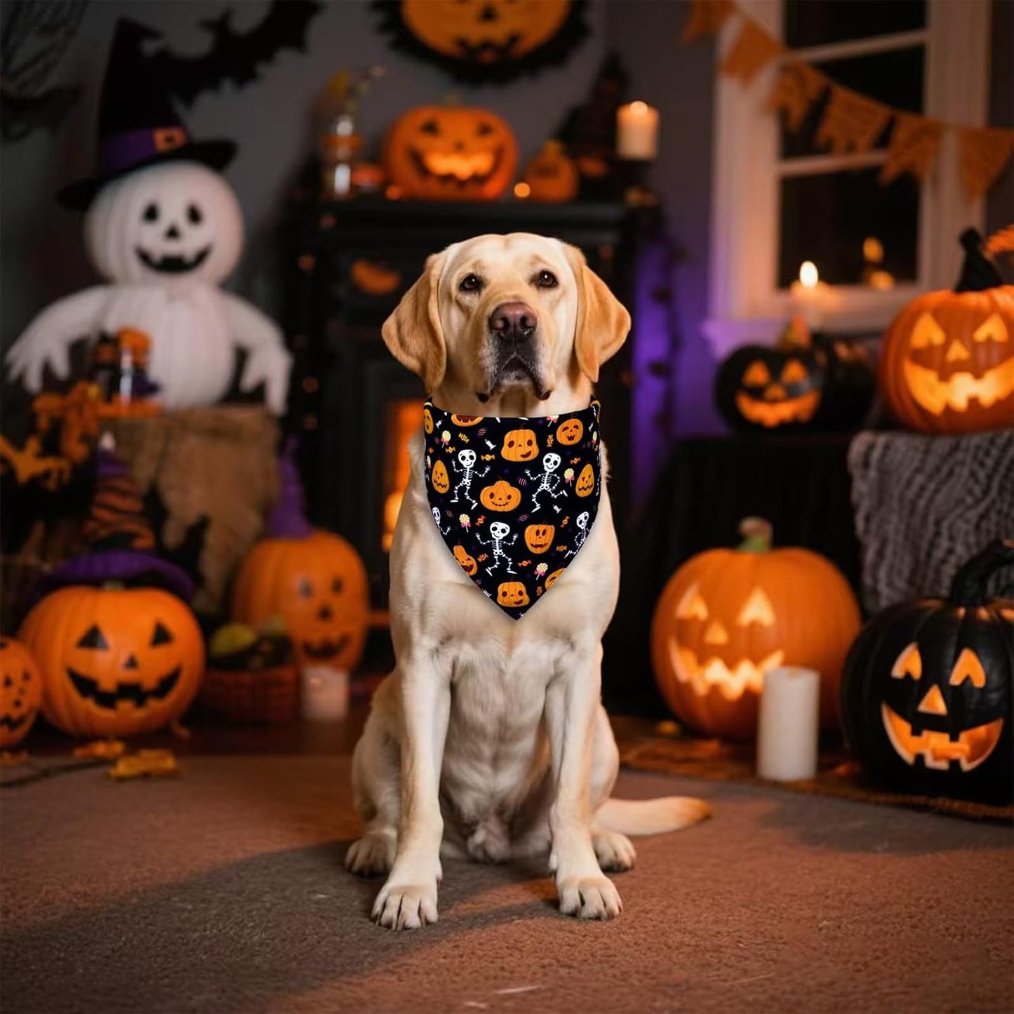 Halloween Dog Bandana for Small Dogs - Reversible Black Skull Pumpkin Print Scarf - Soft & Quick-Dry for Costume Parties