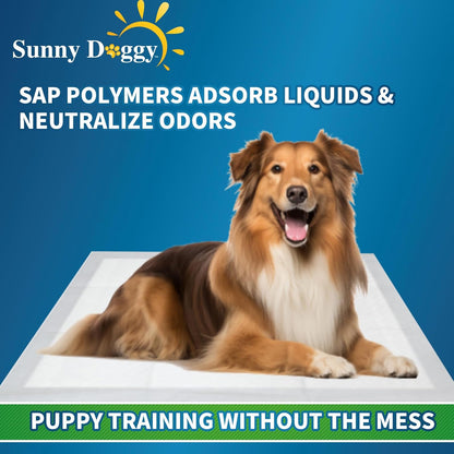 Pee Pads for Dogs Extra Large 36”x 36”, 40 Count Puppy Pads Pet Training Pads Disposable Upgraded Odor Control, Potty Pads Absorbent and Leak-Proof Dog Housebreaking & Puppy Supplies