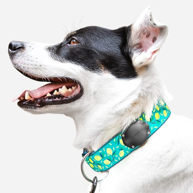 Elevation Lab AirTag Dog Collar Holder - TagVault™ - Secure Thru-Mount, IP69 Waterproof, Doesn't Dangle, Fits All Width Collars