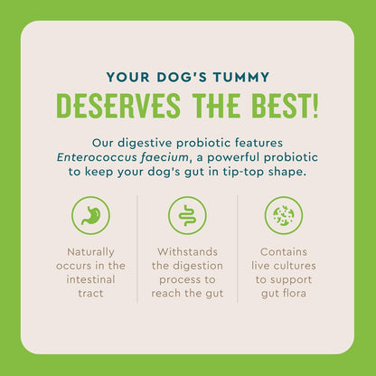 VetIQ Probiotic Powder for Dogs, Treats Diarrhea, Digestive Issues, and Food Sensitivity, Chicken Flavored Single Serve Packets, 30 Count