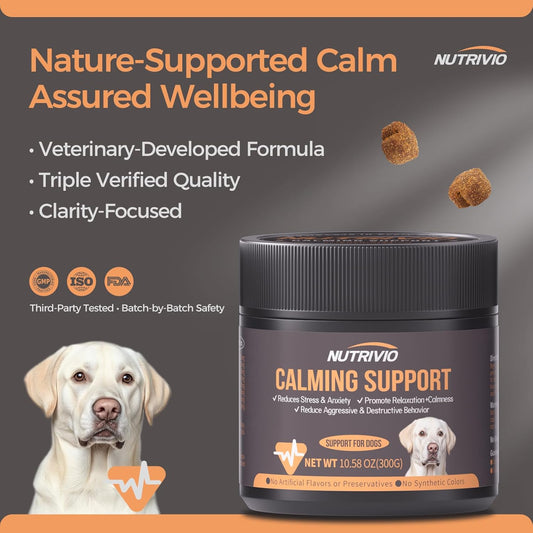 Calming Chews for Dogs with Melatonin Dog Calming Treats - Anxiety and Stress Relief Treats Melatonin Bites Sleep Aid for Small/Medium/Large Dogs Chicken Flavor-300g