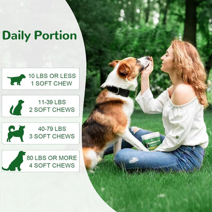 Dog Allergy Relief Chews, Dog Itch Relief Chews for Large Dogs Paw Licking Itchy Skin, Probiotics with Astragalus Omega-3 for Seasonal Allergies Coat Immune Supplement-300ct