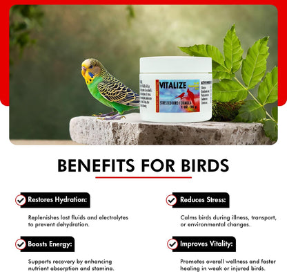 Morning Bird Vitalize, Supplement for Sick, Injured, or Stressed Caged Birds; Dehydration and Exhaustion Treatment for Parakeets, Cockatiels, Budgies, Finches, Canaries, and Parrots, 1 oz