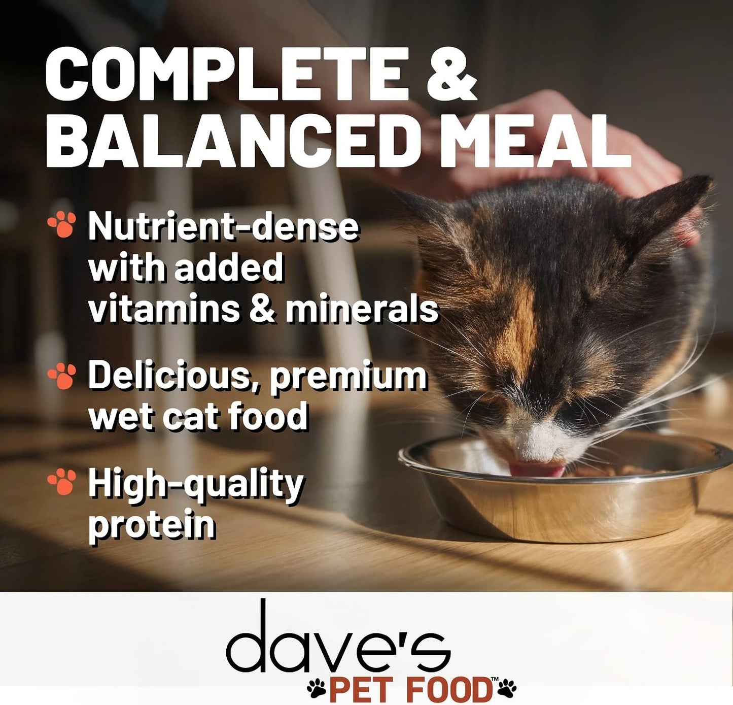 Dave's Pet Food Grain Free Wet Cat Food (Chicken & Duck Saucey Pate), Naturally Healthy Canned, Added Vitamins & Minerals, Wheat Free, 5.5 oz (24 Pack)