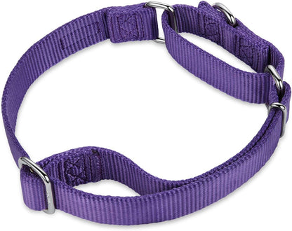 Hyhug Pets Premium Upgraded Heavy Duty Nylon Anti-Escape Martingale Collar for Pup Dogs Comfy and Safe - Professional Training, Daily Use Walking. (Small, Ultra Violet)