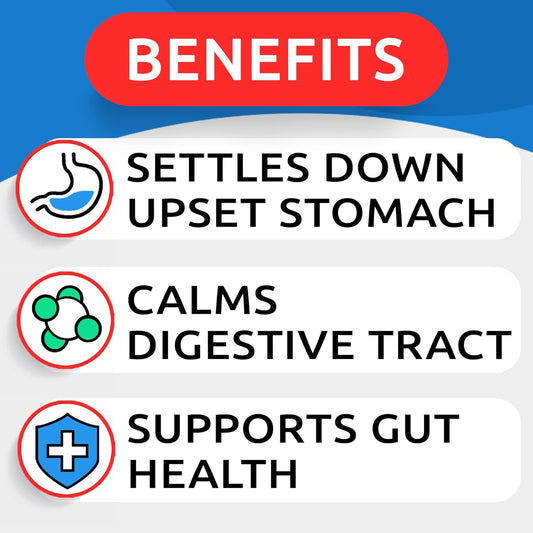 BARK&SPARK Pumpkin Powder for Dogs - 16.2oz Powdered Fiber Supplement and Stool Softener - Upset Stomach, Food Sensitivity - Improve Digestion - 16.2oz Powder