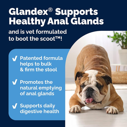 Vetnique Labs Glandex Anal Gland Soft Chew Treats with Pumpkin for Dogs Digestive Enzymes, Probiotics Fiber Supplement for Dogs Boot The Scoot (Peanut Butter Chews, 30 Count)