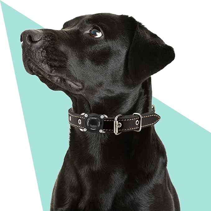Waterproof Dog Collar Holder for Airtag – Dustproof, Ultra-Durable, Shockproof Case Compatible with Apple Air Tag (Not Included), Anti-Loss GPS Tracker Cover for Pets, Dogs, Cats