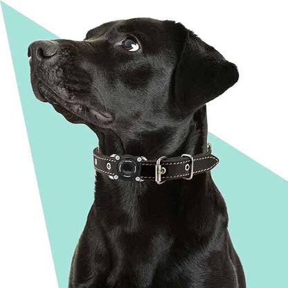Waterproof Dog Collar Holder for Airtag – Dustproof, Ultra-Durable, Shockproof Case Compatible with Apple Air Tag (Not Included), Anti-Loss GPS Tracker Cover for Pets, Dogs, Cats