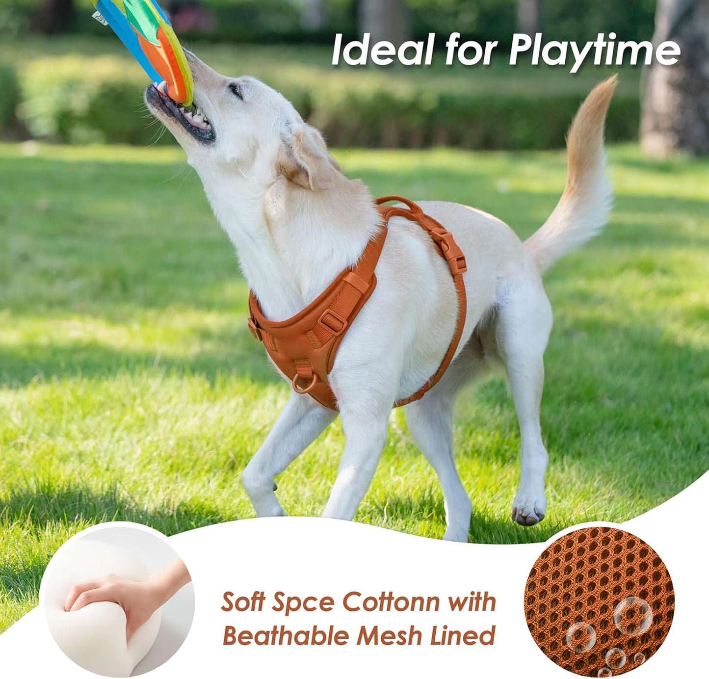 No Pull Dog Harness, Puppy Vest with Front Clip for Small Medium Large Sized Dog(Carmel Brown,M)