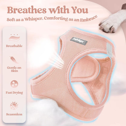 rabbitgoo Dog Harness Small Sized and Leash Set, Step in Soft Light Puppy Vest, Breathable Mesh Pet Harness, Reflective for Safe Outdoor Walking, Pink XS