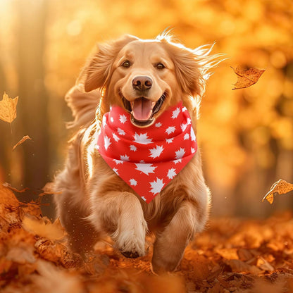 Weewooday 50 Pcs Fall Dog Bandanas Bulk for Dogs Thanksgiving Soft Bibs Adjustable Triangle Pet Bandana for Small Medium Large Costume(Leaves Pattern, 25.6 x 17.7 x 17.7 Inch)