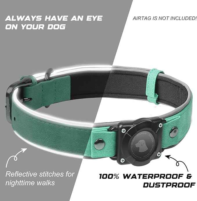 Leather AirTag Dog Collar, Waterproof Dog Collar with Air Tag Holder, Compatible with Apple Air Tag, Reflective, Durable, Comfortable Padded GPS Dogs Collars (Teal, L)