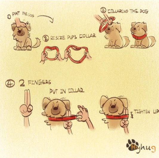 Hyhug Martingale Buckle - Free Dog Collar: Non - Slip Heavy - Duty Nylon, Escape - Proof, Colorfast & Adjustable for Large, Medium & Small Dog Breeds(Medium,Red)