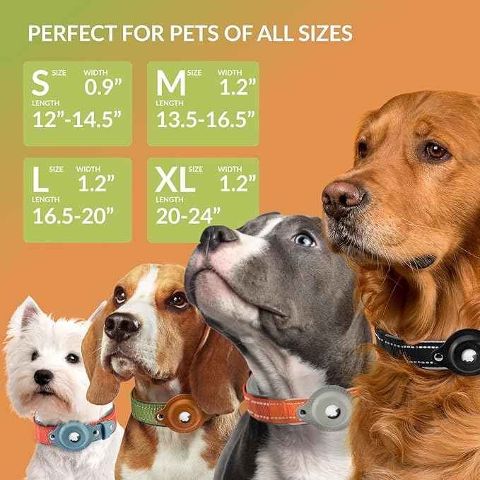 CollarDirect Airtag Dog Collar Reflective Nylon Neoprene Leather Holder for Apple Air Tag for Large, Medium, and Small Dogs (Green, M, 13.5-16.5 Inch)
