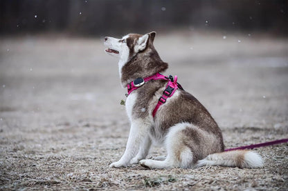 TRUE LOVE Truelove Adjustable No-Pull Dog Harness Reflective Pup Vest Harnesses Comfortable Control Brilliant Colors TLH5651(Fushcia,XS)