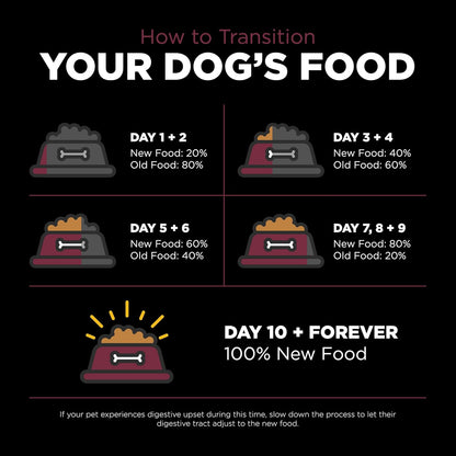 Go! Solutions Sensitivities Limited Ingredients, Grain-Free Dry Dog Food, Lamb Recipe for Sensitive Stomach, 22 lb Bag