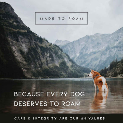 MADE TO ROAM Premium Explorer Harness - Y-Shaped Dog Harness with Adjustable Durable Nylon, Soft Padding, Metal Buckles and Leather Handle for Small, Medium, Large Dogs (Nevada Evening, Size 4)