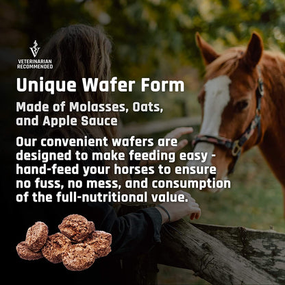 Majesty's Omega Wafers - Superior Horse/Equine Skin, Coat, and Immune Support Supplement - Omega 3, 6, 9, and Biotin (Regular, 2 Pack(120 Count Total))