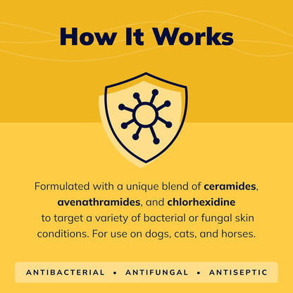 CeraSoothe® CHX Antiseptic Shampoo 16oz
