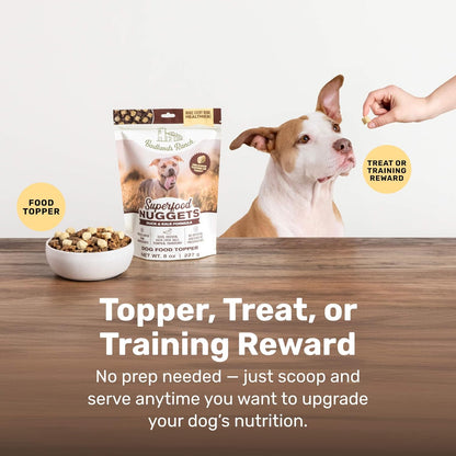BADLANDS RANCH Superfood Nuggets- Premium, Freeze-Dried raw Dog Food Topper or Treat. Powerful Nutrient-Dense Ingredients. No Artificial additives. Duck and Kale Formula 8oz - 4pk Bundle