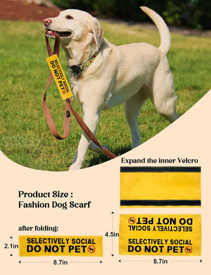 Selectively Social Do Not Pet Dog Leash Sleeve, Funny Yellow Dog Leash Wrap Alert Hanging ID Patch Tag, Do Not Pet Leash Sleeve Service Dog Leash Sleeve Pet Birthday Gifts for Dog Owners