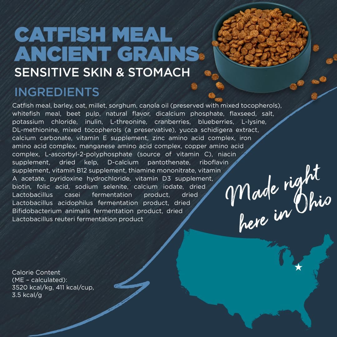 Blackwood Sensitive Skin & Stomach Dry Dog Food, Catfish Meal & Brown Rice with Ancient Grains, 24 Pound Bag with Prebiotics & Probiotics to Promote Gut Health