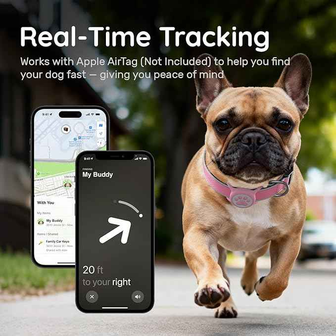 Reflective Dog Collar with Airtag Holder, IPX8 Waterproof Air tag Dog Collar Holder | Ultra-Durable | Soft Padded | Safety Locking Buckle | Fit Small Dogs (Neon Pink S(9.8"-15.7"))
