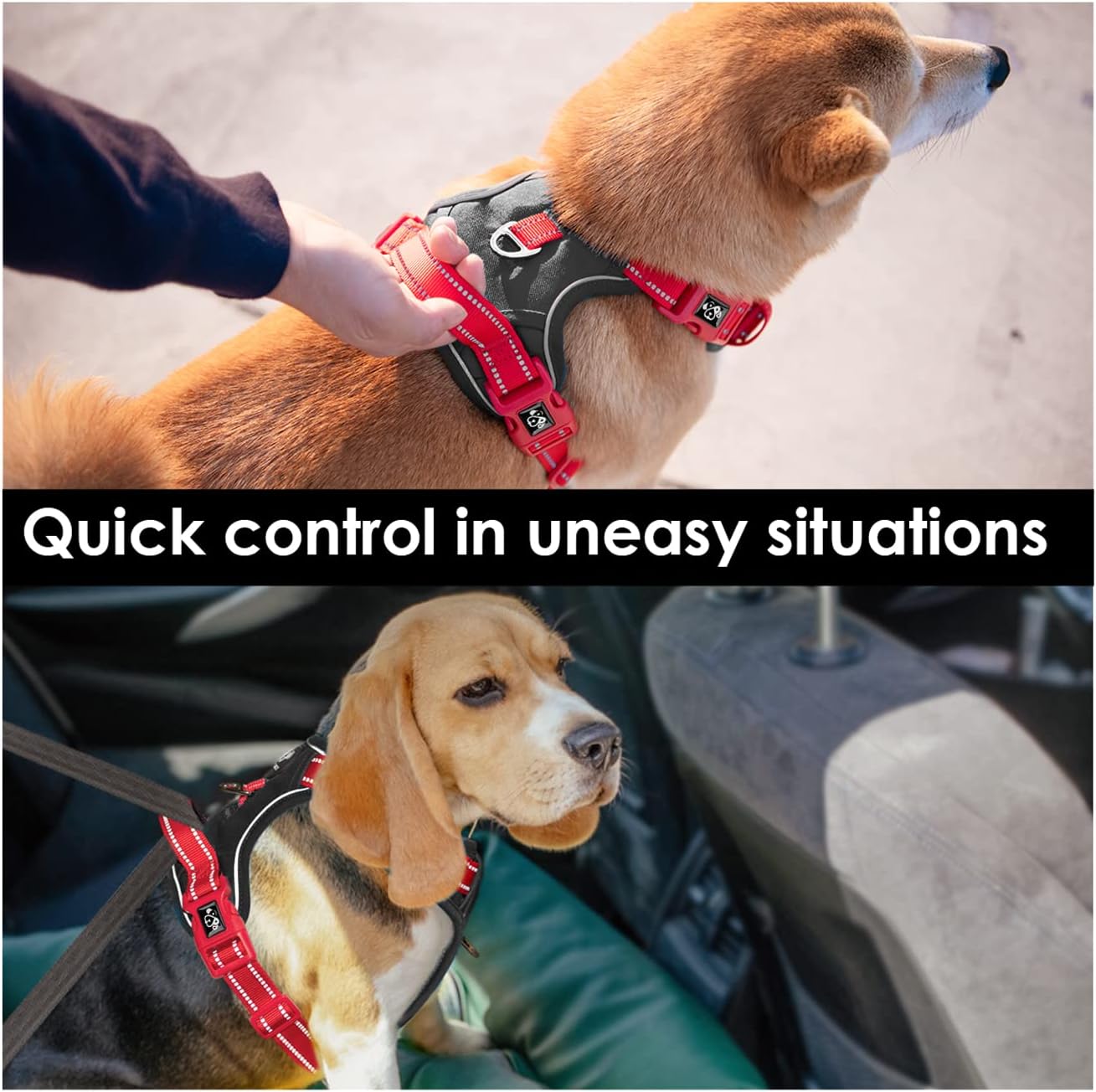 PHOEPET No Pull Dog Harness, Unique Colors Reflective Adjustable Dog Vest, with Soft Training Handle Metal Clips for Small Medium Large Dogs (Black Base & Red Straps,L)