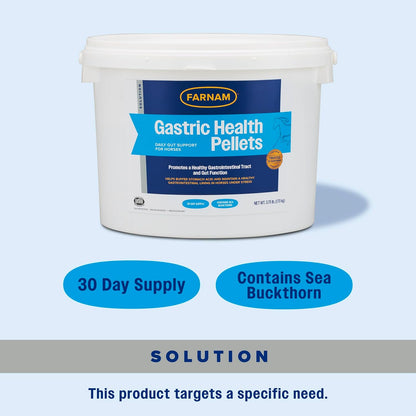 Farnam Gastric Health Pellets, Daily Gut and Digestive Health Supplement for Horses Helps Maintain a Healthy Gastrointestinal Tract and Gut Function