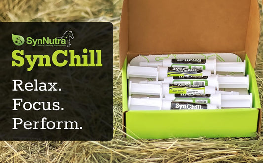 SynChill Oral Horse Calming Gel, 100% Natural & Nutritional Supplement, Lab Proven Results, Designed for Focus & Performance, Approved by Olympic Professionals & Veterinarians, Made in USA - 25-Pack