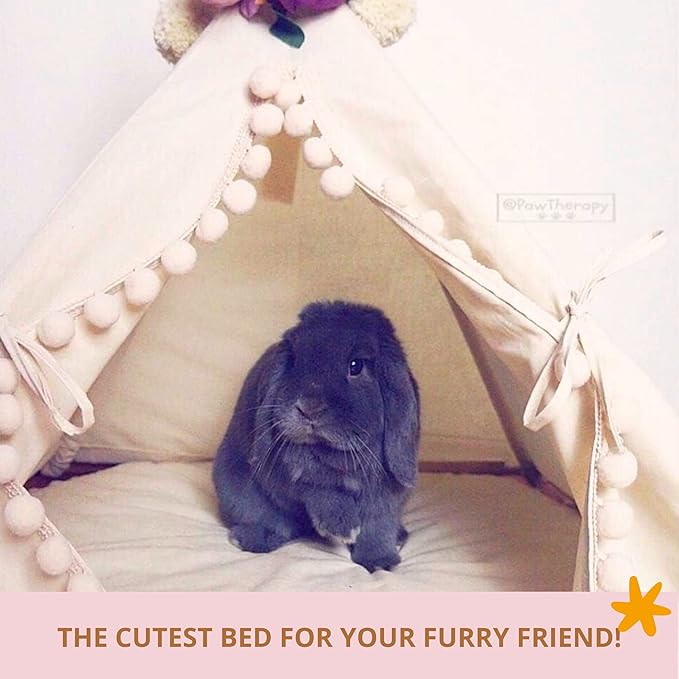MINICAMP Pet Teepee Tent with Padded Mat – Cozy Cotton Hideaway Tent for Rabbits, Puppies, Cats & Guinea Pigs – Pet Accessories for Indoor - Made in EU XS