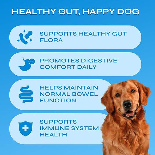 Dog Probiotics - 260 Billion CFU per Pack with Prebiotics, Digestive Enzymes, Pumpkin - Probiotics for Dogs for Digestive Health, Gut Support, Yeast Balance, Allergies Support, Itchy Skin - 130 Chews