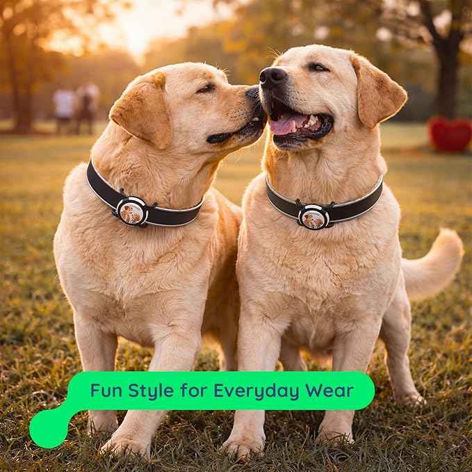 Dog AirTag Holder for Dog Collar, Soft Silicone Slide-On Case for Apple AirTag, No-Dangle Quiet Protective Holder with Eye-Catching Pet Character Designs, Black-Pawsome Pair