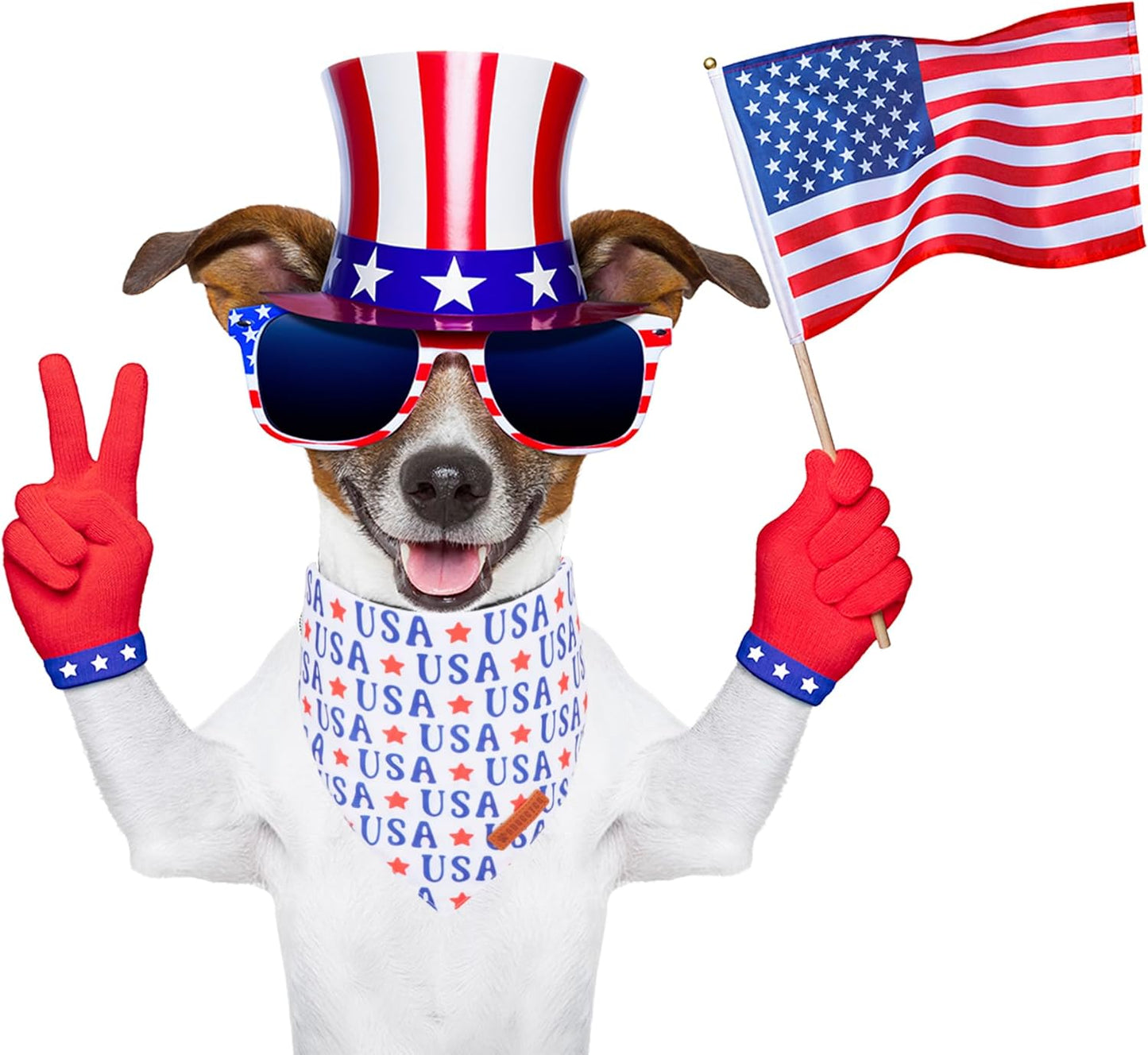 ADOGGYGO 4th of July Dog Bandanas, American Flag Pet Scarf, Multi Size Offered, White Blue Flag Bandana for Small Dogs Pets (Small)