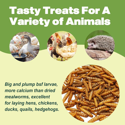 10LB Dried Black Soldier Fly Larvae, 86X Calcium Than Dried Mealworms, High Protein Non-GMO Organic Chicken Feed