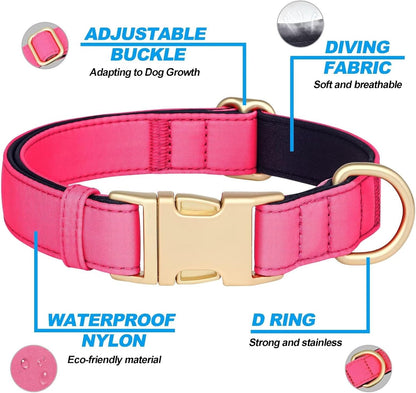 Didog Soft Padded Dog Collars for Small Dogs, Colorful and Durable Dog Collar with Quick Release Buckle, Light and Breathable for Daily Walking, Pink, S