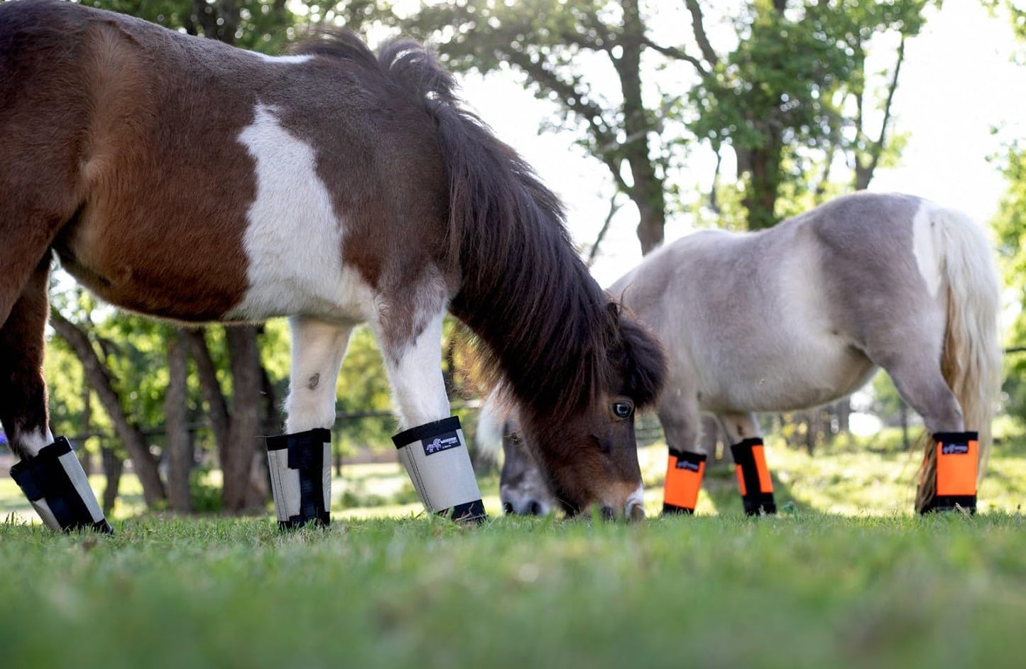 Warrior Fly Boots for Horses - Breathable Mesh Horse Boots for Fly Protection & Leg Comfort - Set of 4 (Lil Warrior, Red)