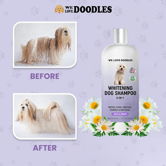 Whitening Dog Shampoo | Made in USA | Brightening Dogs Fur | White & Bright Hair | Removes Stains & Discoloration [We Love Doodles]