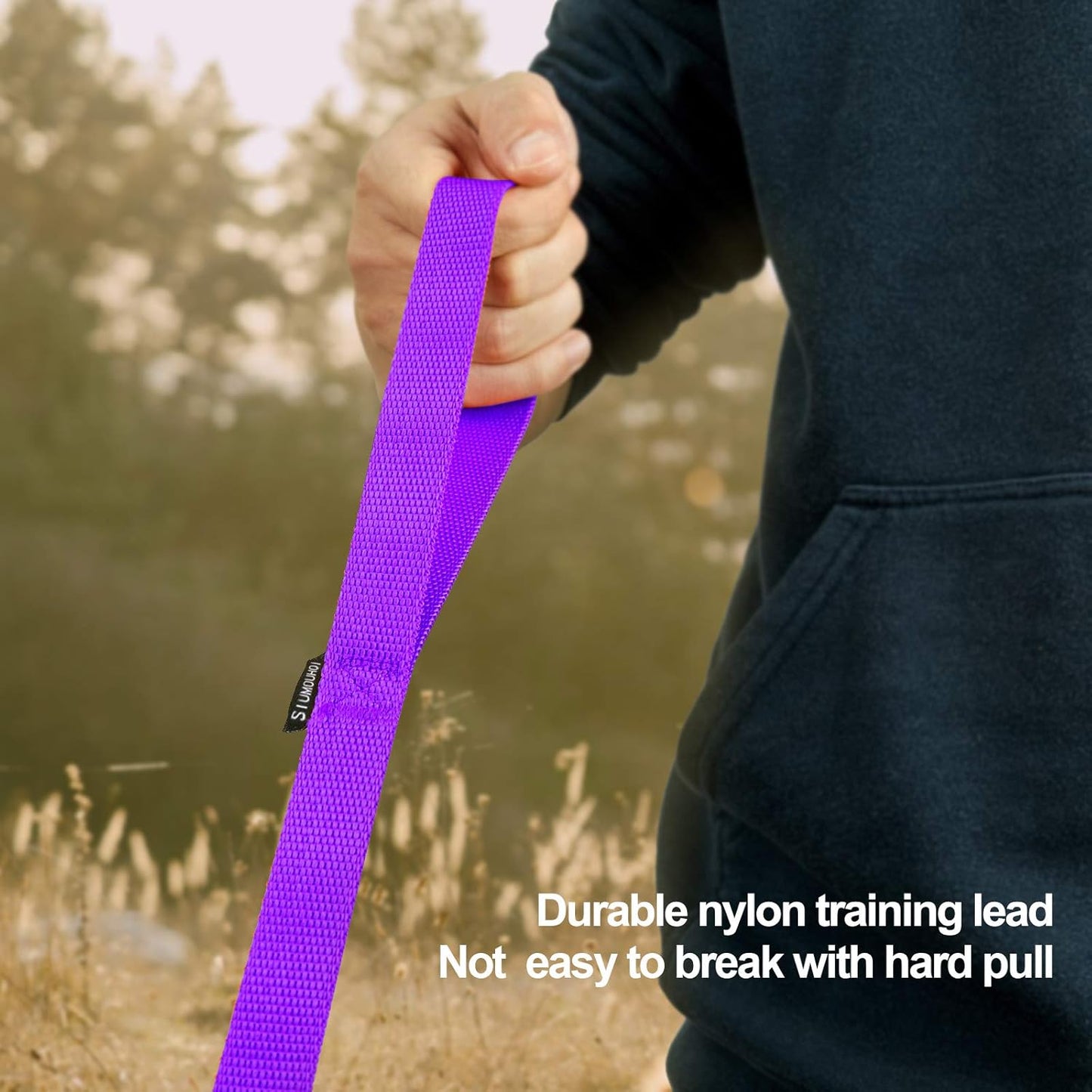 Dog/Puppy Recall & Behavior Training Rope Leash - 40 ft (Purple)