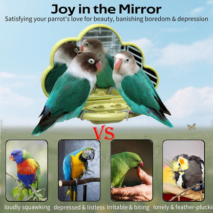 Bird Mirror with Perch & Slow Feeder – Interactive Bird Toy, Birds Cage Accessories for Parakeet, Budgies, Cockatiels, Conures, Lovebird, Finches & Canary – Relieve Boredom-Green