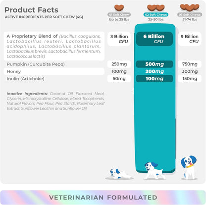 Probiotics for Dogs Digestive Health - Support Gut Health, Diarrhea, Gas, & Seasonal Allergies - with Honey, Pumpkin and Prebiotics for Digestive Support, Bad Dog Breath & Constipation