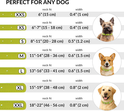 CollarDirect Rolled Leather Dog Collar, Soft Padded Round Puppy Collar, Handmade Genuine Leather Collar Dog Small Large Cat Collars 13 Colors (15-19 Inch, Lime Green Textured)