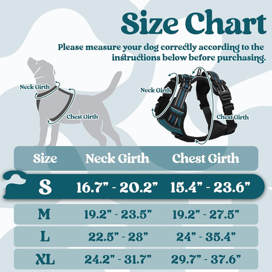 rabbitgoo Dog Harness Small Sized, No Pull Pet Harness with 3 Buckles, Adjustable Soft Padded Vest with Control Handle, Walking Reflective Pet Vest for Small Dogs, Blue Coral, S