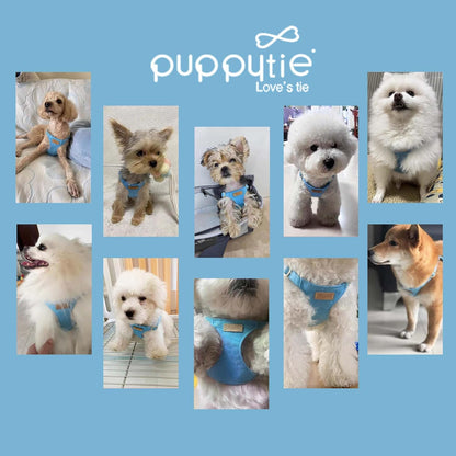 Puppytie No Pull Dog Harness with Multifunction Dog Leash,Soft Adjustable No Choke Escape Proof Pet Harness Vest for Medium Dogs or Large Dogs,Ocean Blue,M