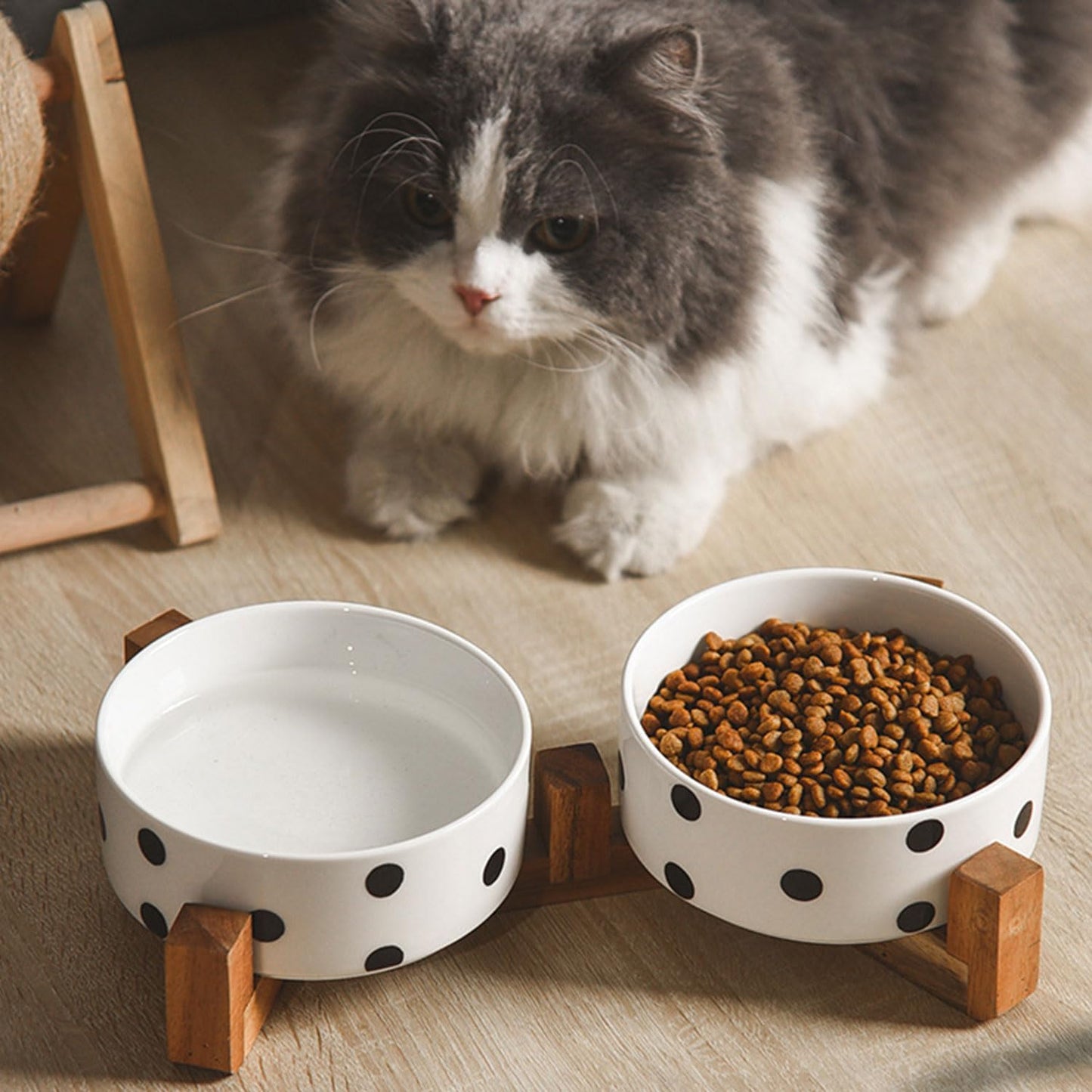 Petygooing Ceramic Dog Bowl Set with Stand,Cat Pet Food and Water Dishes,Small Dog Bowls Anti -Slip Set of 2 Cat Bowls Pet Food Dish Small Size Pet (13.5OZ/5.1 in) Black Dot