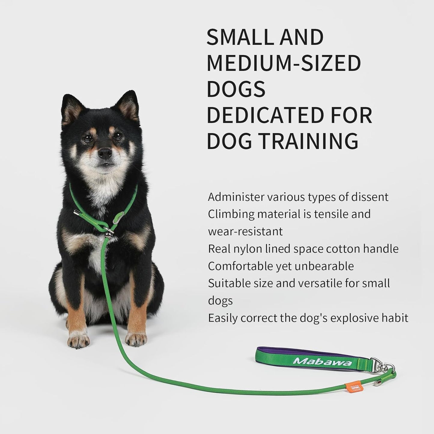 Dog Anti-Slip Leash 5FT with Metal Stopper - Durable No-Pull Training Lead for Small, Medium & Large Dogs - Comfortable Handle Nylon Rope, Tangle-Free Pet Walking Leash (Green, 5 FT)