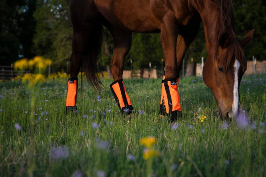 Warrior Fly Boots for Horses - Breathable Mesh Horse Boots for Fly Protection & Leg Comfort - Set of 4 (Knight Warrior, Neon Orange)