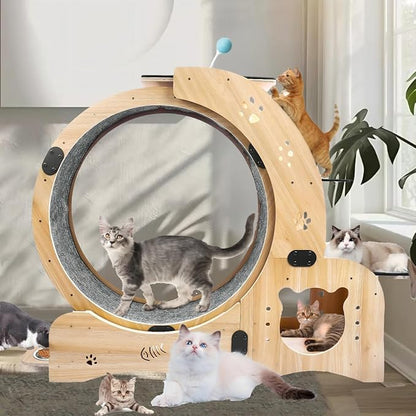 6-in-1 Cat Exercise Wheel, Upgraded Large Cat Wheel Exerciser, Running Wheels for Indoor Cats, Cats Wheel with Silent (Wood)